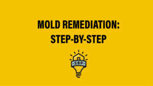 Thumbnail Mold Remediation Step By Step